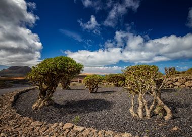 Spain landscape, Lanzarote