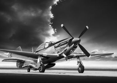 mustang p51