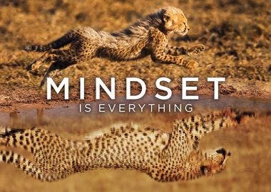 Cheetah Running Mindset