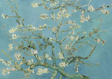 Almond Blossom