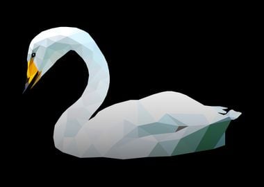 Swan