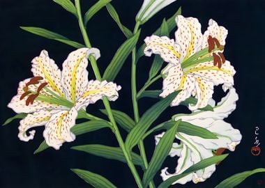 Ukiyo e Golden Banded Lily