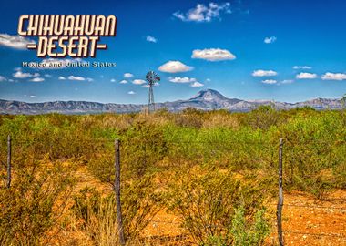 Chihuahuan Desert