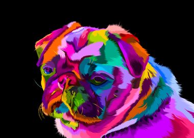 Colorful English bulldog