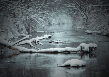 Winter wild river, Poland