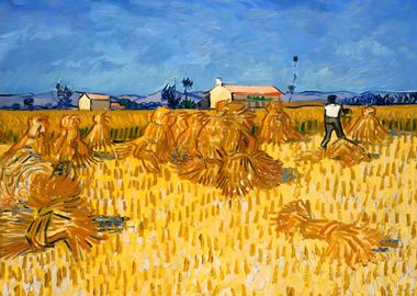 Harvest in Provence