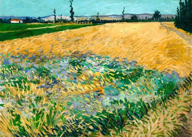 Van Gogh Wheatfield 1888