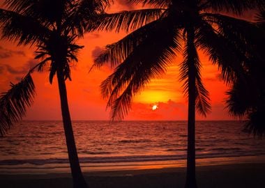 Tropical sunset, Thailand