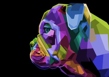 Colorful English bulldog