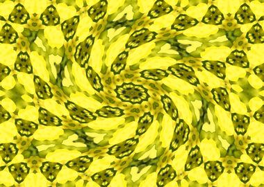 Rapeseed Kaleidoscope6