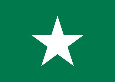 Stellaland flag