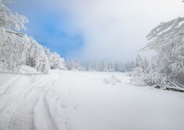 Winter mountain landscape