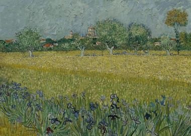 Vincent Van Gogh