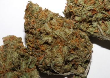 Medical marihuana buds