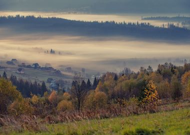 Misty autumn travel, hills