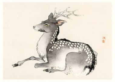 Ukiyo e Autumn Deer