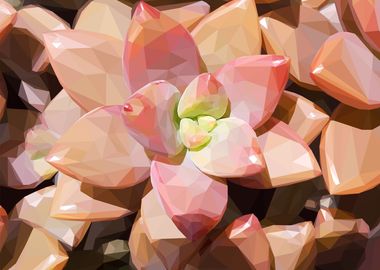 Low Poly Succulent Garden