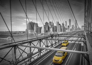 Brooklyn Bridge View