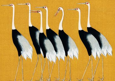 Red Crowned cranes