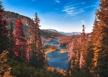 Yosemite Park California