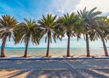 Thai Beach