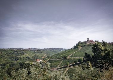 Countryside of Langhe