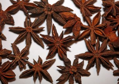 Star anise fruit close up