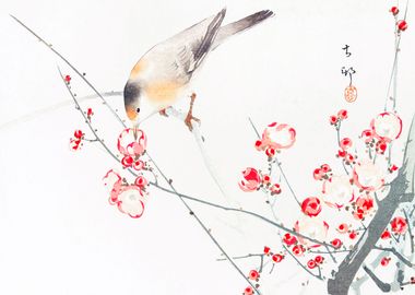 Songbird on blossom branch