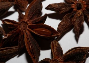 Brown fruit background