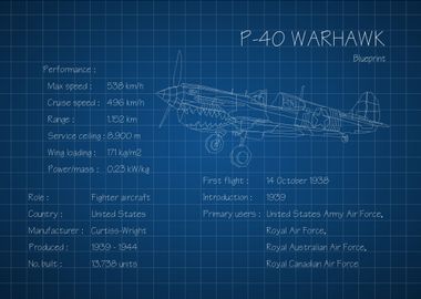 P40 Warhawk