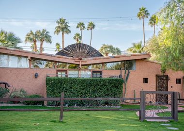 Palm Springs Vintage Views