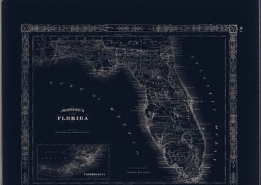 Florida USA vintage map