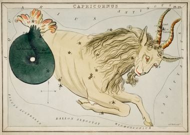 Capricorn Chart