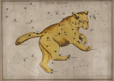 Ursa Major constellation