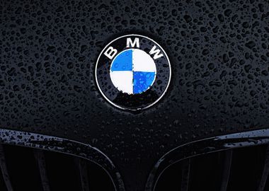 BMW Logos