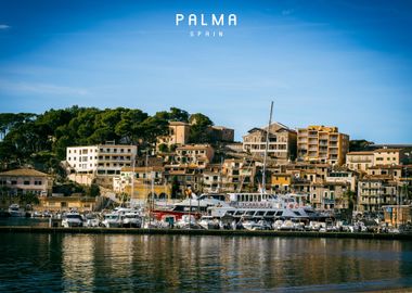 Palma  