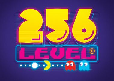 256 Level