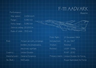 F111 Aadvark