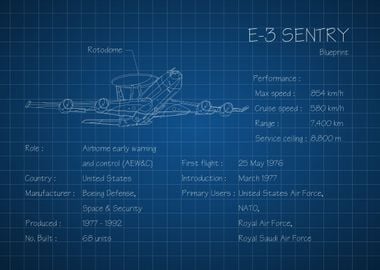 E3 Sentry