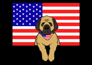 Mastiff American Flag