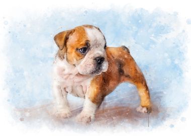 English Bulldog puppy art