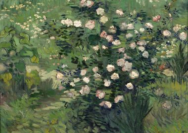 Roses 1889