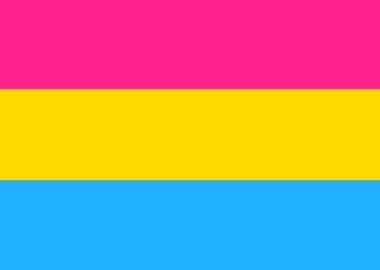 Pansexual Flag