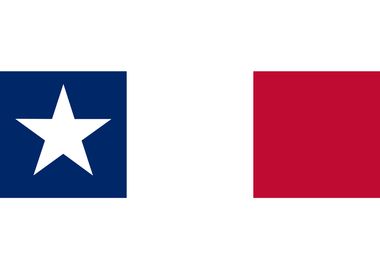 Texas Dodson Flag