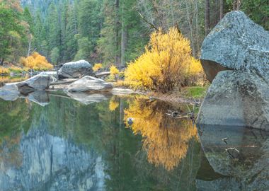 Fall at Merced River