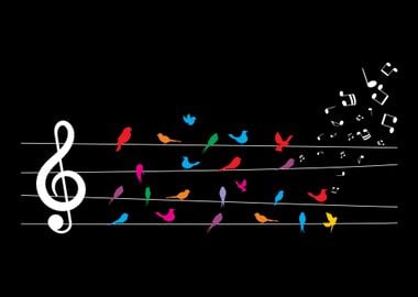 Colorful Birds Musical