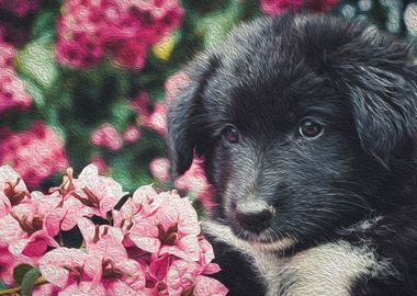 Cute puppy