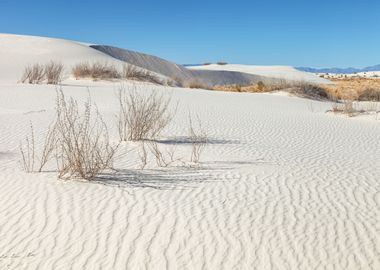 White Sand Dunes