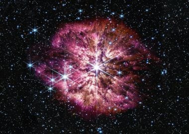 Blooming Wolf-Rayet Star