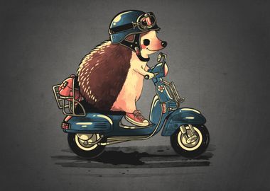 Scooter hedgehog